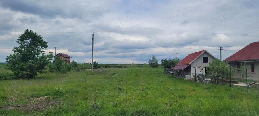 Teren intravilan 3600 mp Dumbrava Rosie 2 drumuri acces - 2
