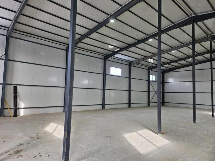 Hale noi 2026 AFUMATI ( Moara Domneasca ) 2300 Euro - 4