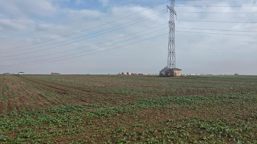 Teren construibil  extravilan , 37000 mp -com Vidra / iesire Berceni, Ilfov - 8