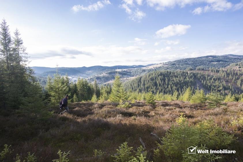 Se vinde teren cat un munte in Apuseni - Poiana Horea - 1