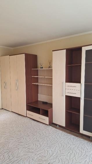 Apartament cu o camera etaj 1 Nufarul - 7