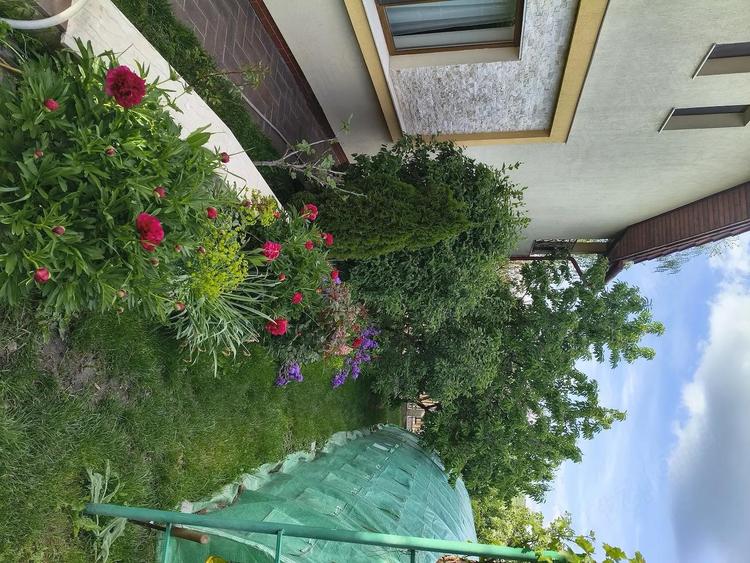 casa S+P+M si teren de vanzare in Chinteni - 5