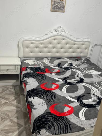 Apartament cu 2 camere Parcul Tineretului - 5