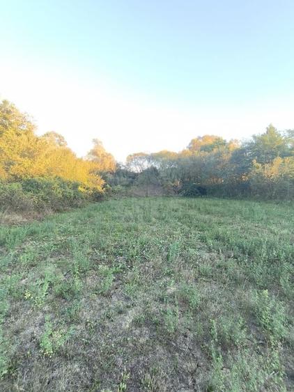 TEREN INTRAVILAN  PLOPU//3000 MP - 6