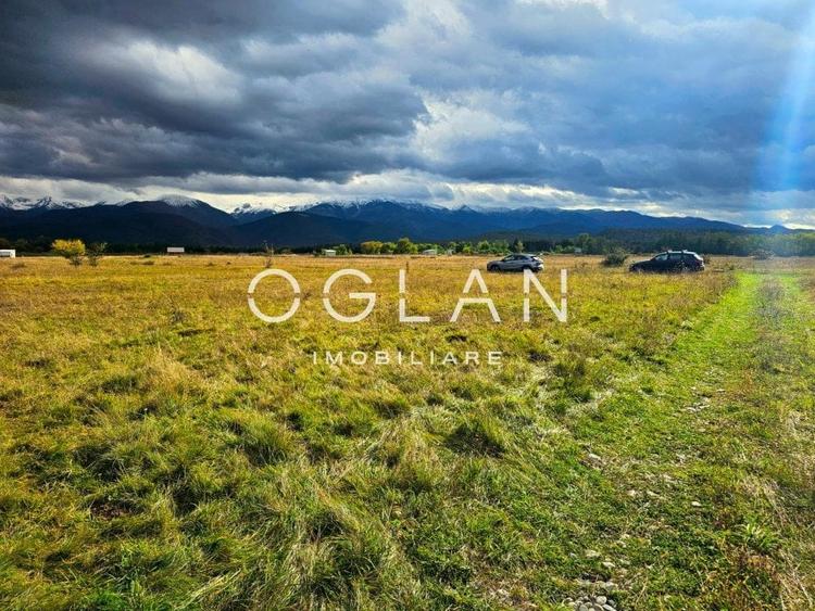 SUPER OFERTA! Teren  1000 mp, Vl. Avrigului SIBIU - 1