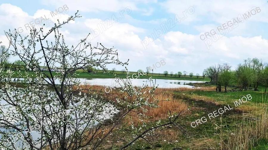 Teren Intravilan rate 12 24 luni Comision 0 Dobanda 0 Comuna Berceni - 2