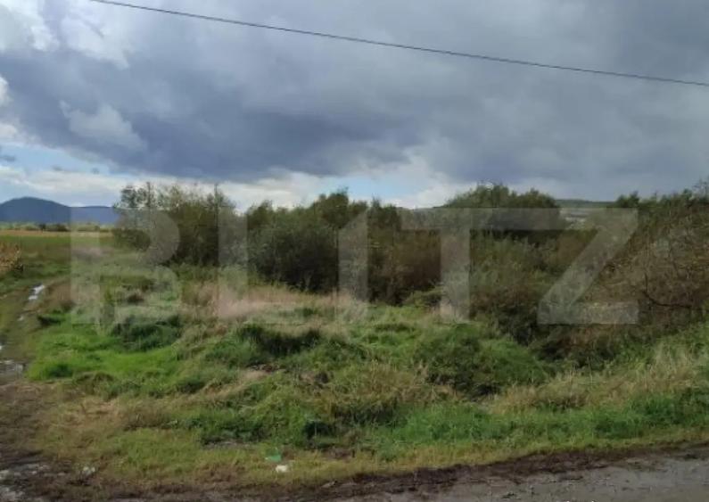 Teren extravilan de vanzare, 70 ari, utilitati, zona Simione - 4