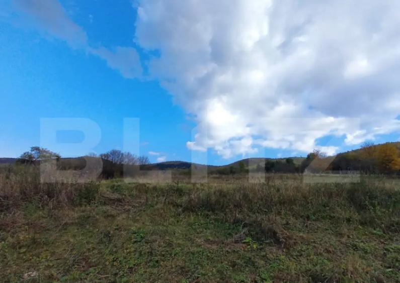 Oportunitate ! Teren intravilan, 1500 mp, sat LIvada , panor - 2