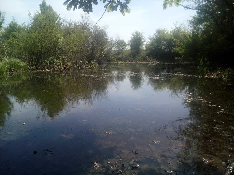 Teren,casa,Iazuri,padure,teren arabil - 6