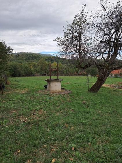 Teren intravilan de vanzare - 2