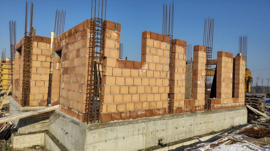 Vile individuale padurea Rosu - 14