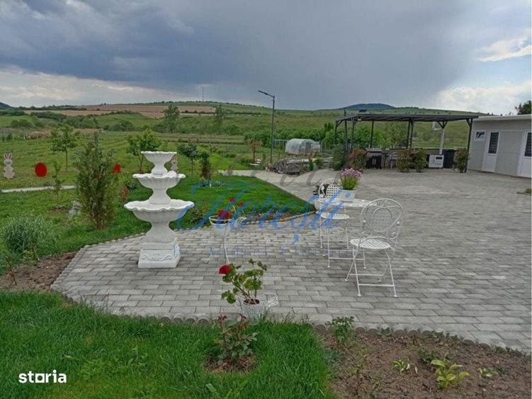 Casa 3 camere + plantatie de zmeura, 200 mp, Fodora, Cluj - 5