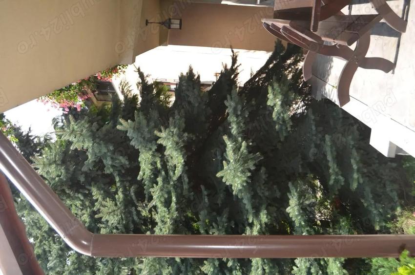 Busteni-Pensiune de vanzare - 8