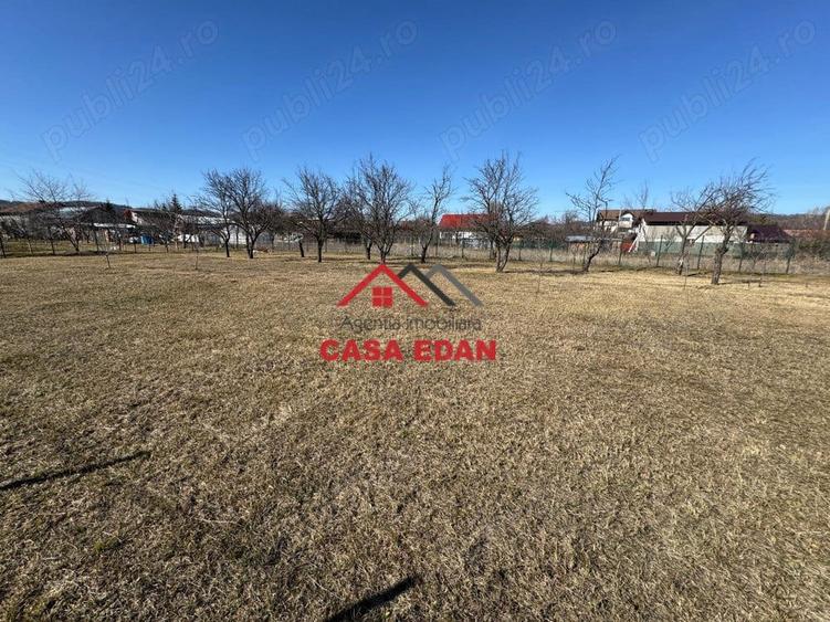 Teren 1306mp in Cornu--60.076e - 13