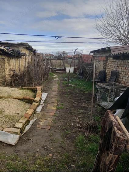 Vand casa in Lenauheim - 1