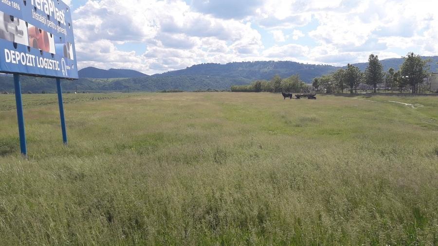 Teren intravilan 8900 mp,Dumbrava Rosiejud Neamt - 1