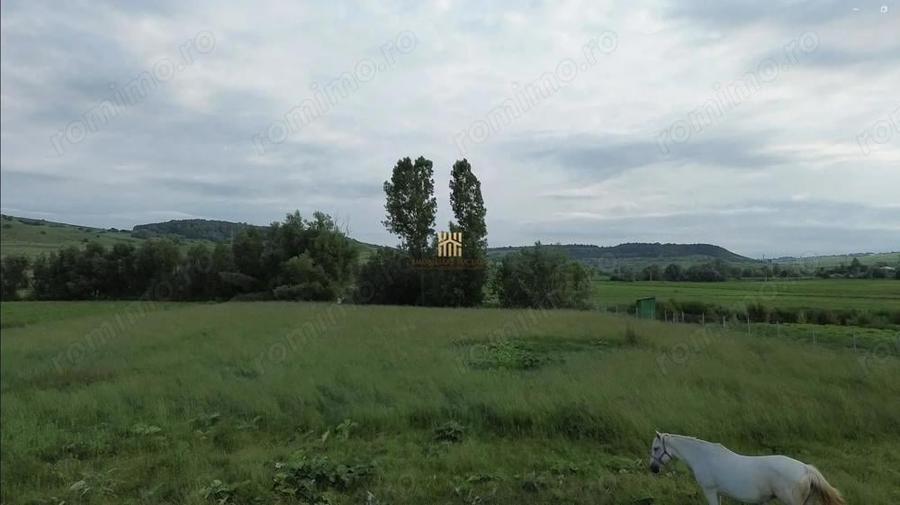 Teren 3953 mp Falticeni Tarna Mare De Vanzare 0727817187 - 7