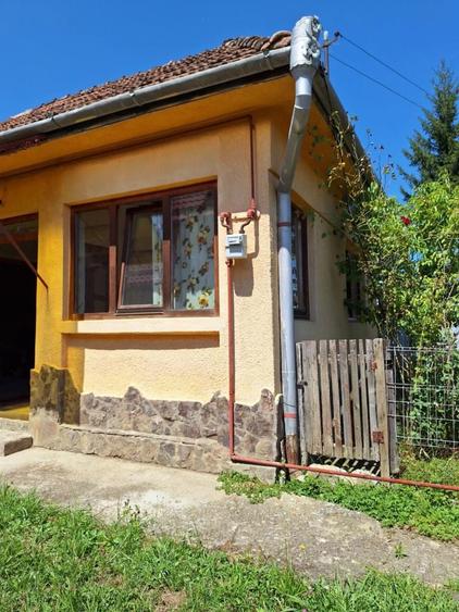 Casa de vanzare cu teren in Cinta - 5