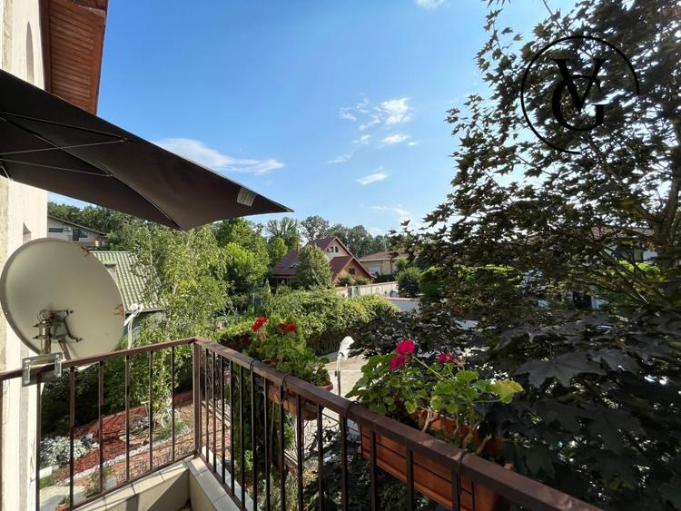 Vila individuala 4 camere cu vedere catre Padurea Baneasa - 19