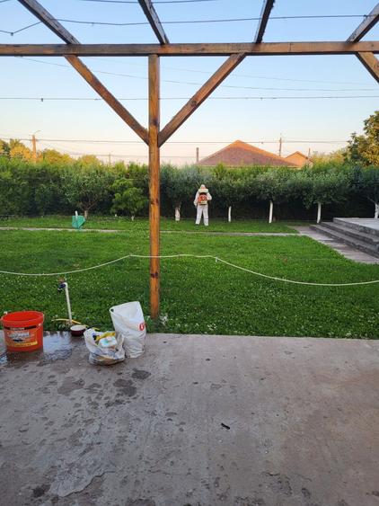 Imobil P+M si un fost spatiu comercial - 1