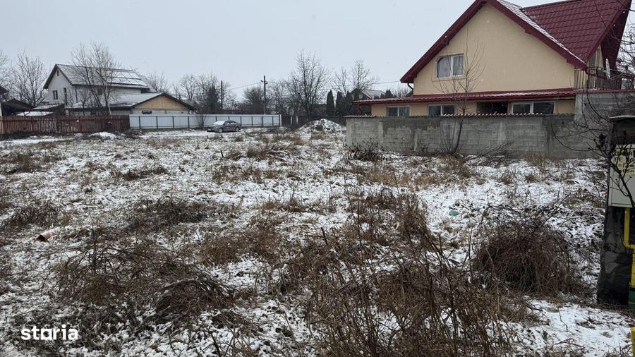 Teren Letea Veche 2000mp de Inchiriat - 3