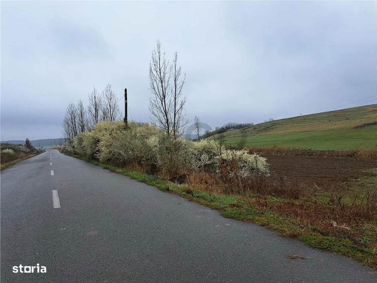 RECO teren Viisoara - 2