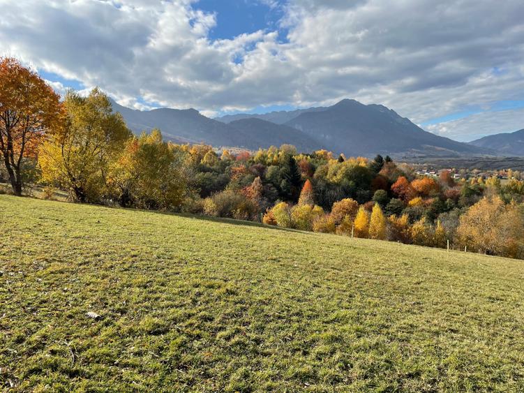 Teren intravilan loturi intre 500 si 1000 m, la 5 km de Moieciu - 5