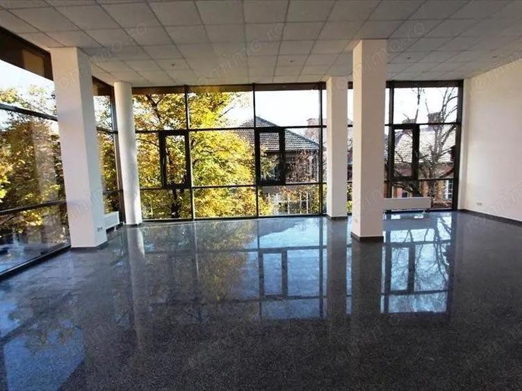 Birouri luxoase in zona centrala - 1