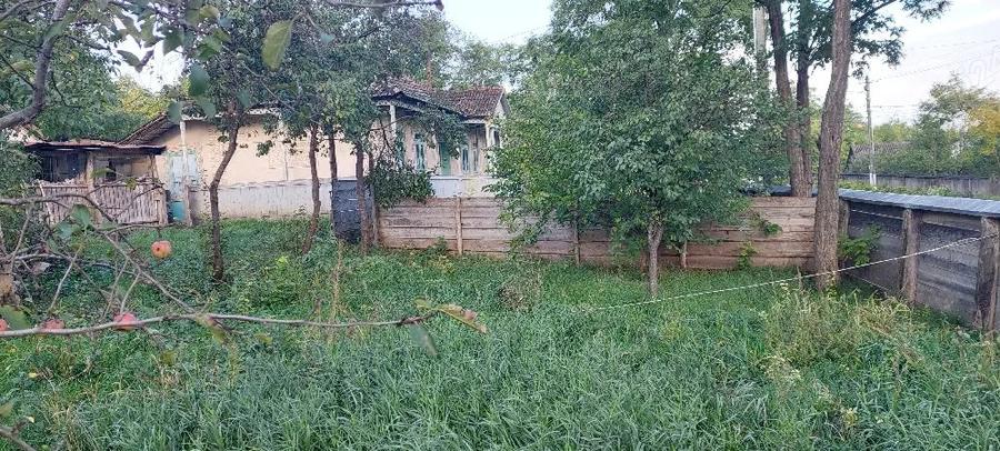 casa batraneasca de vanzare - 5