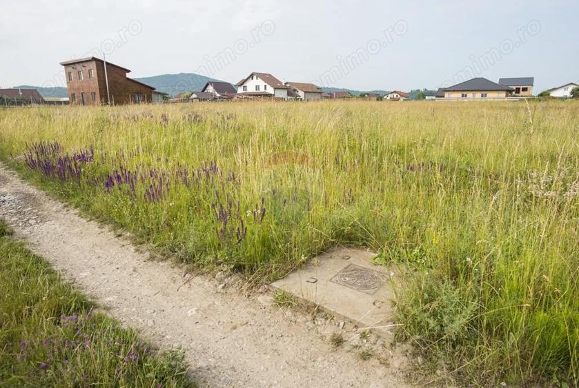 Teren Bod, cartier Poiana Craitelor, 732-2196mp, utilita?i, - 9