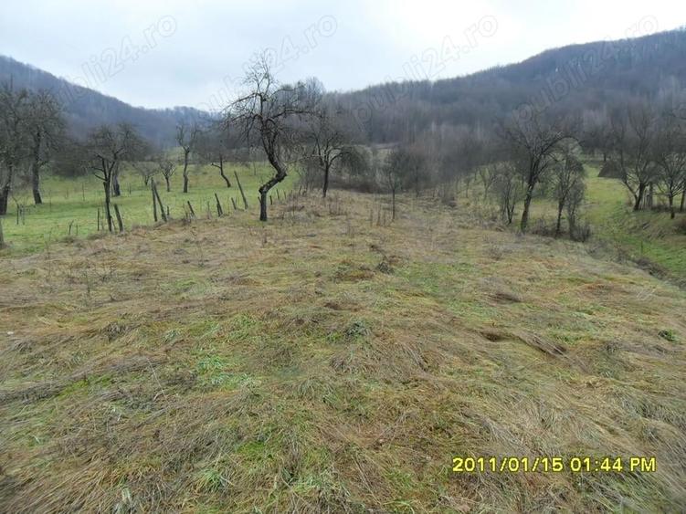 Teren de vanzare Ranusa, Moneasa ID: RH-16229-property - 10
