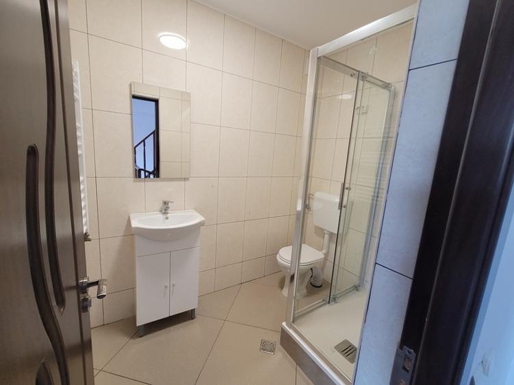 Casa individuala, ideala sediu firma Rahova- Teius - 9