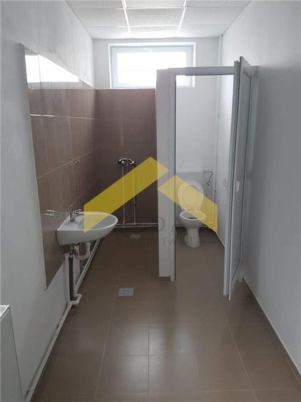 De vanzare doua hale pe un teren imprejmuit 9000 mp zona Gai - 7