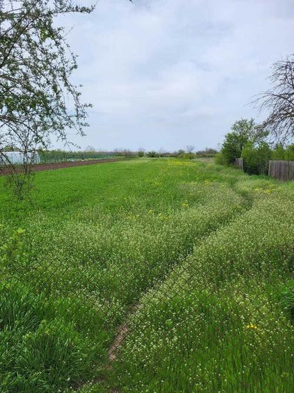 Vand teren intravilan - 2