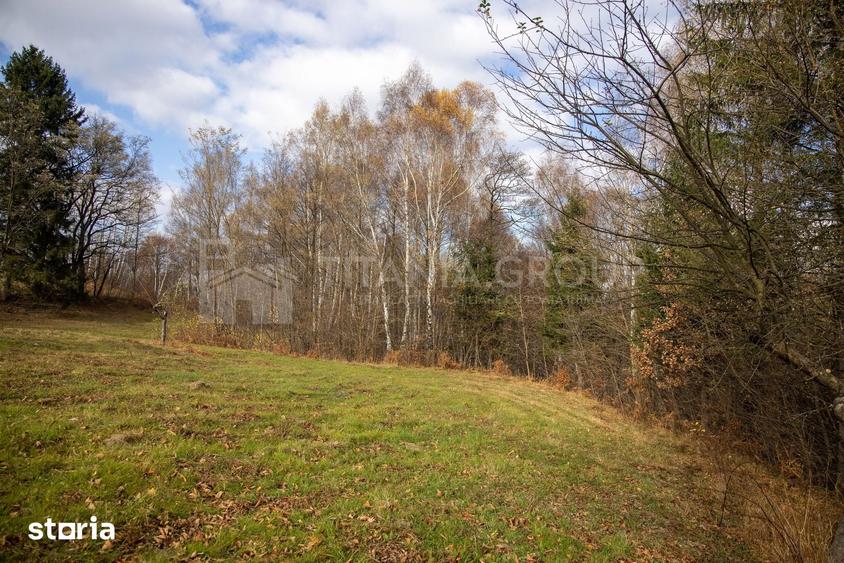 Teren de 19495 mp, în Bran