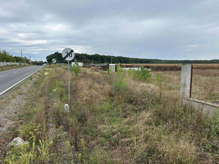 Teren Construcții intravilan de 794 mp, în Moara Vlăsiei
