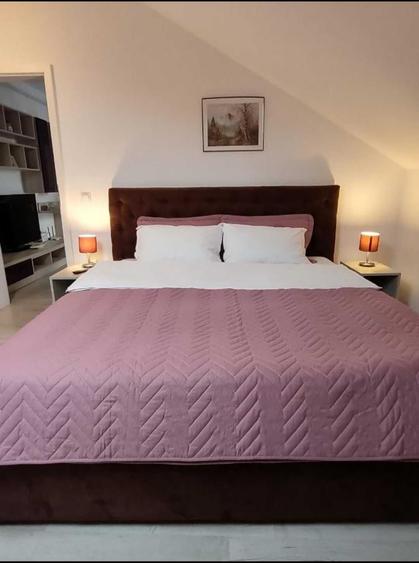 Apartament cu 2 camere decomandat în Frumoasa