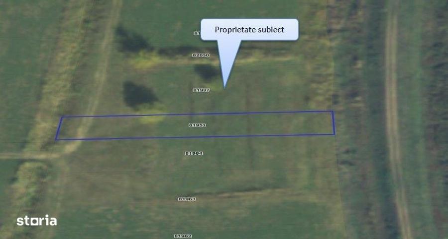 Teren extravilan Lunca Banului, ID: R2944332 - 5