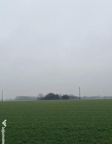 Teren Extravilan Balta Doamnei 10000mp - 2