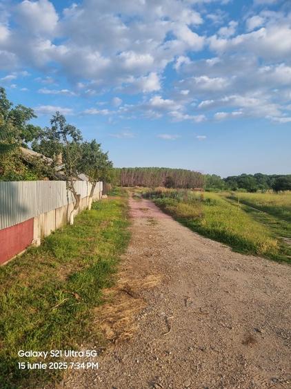 VANZARE TEREN 2150 MP IN SAT TEISORI (GR) - 11