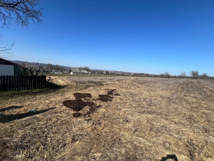 Casa + teren 7000 mp, Movilita - Vrancea - 9