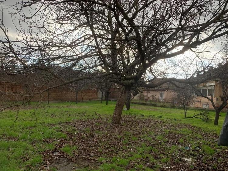 Teren intravilan 1000 mp in Lipovei - 3