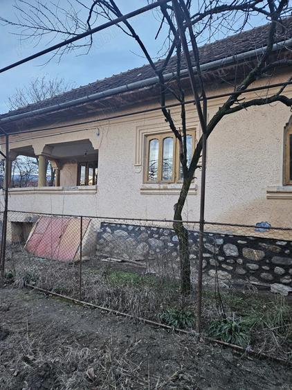 Casa Stane?ti Gorj 7000mp - 1