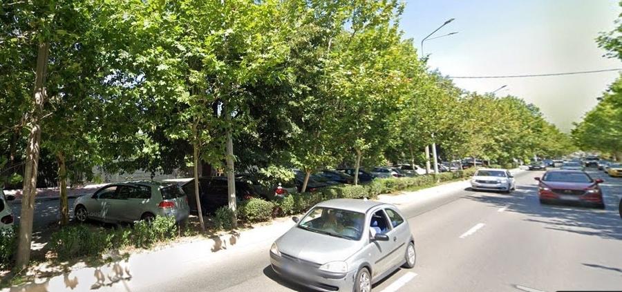 Teren 13850mp cu deschidere de 95ml la bd. Theodor Pallady - 1