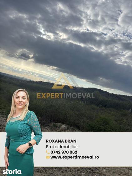 Teren generos pentru investitori, Tautii Magherausi str 4 - 1