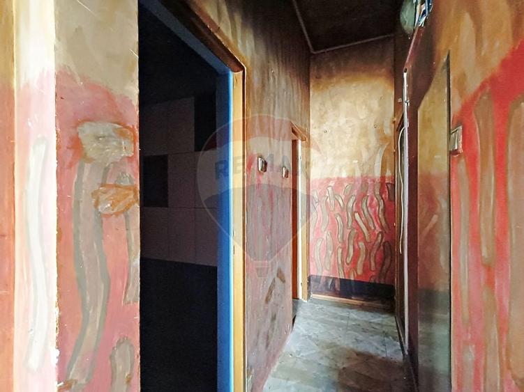 Vanzare Vila Interbelica Stradala, Pta Regina Maria, Ocazie Investitie - 30