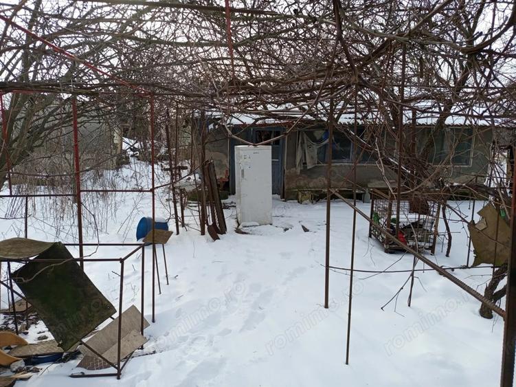 Casa + Teren generos 3283 mp in Curcani, CL Gaze la poarta (Posibilitate parcelare) - 5