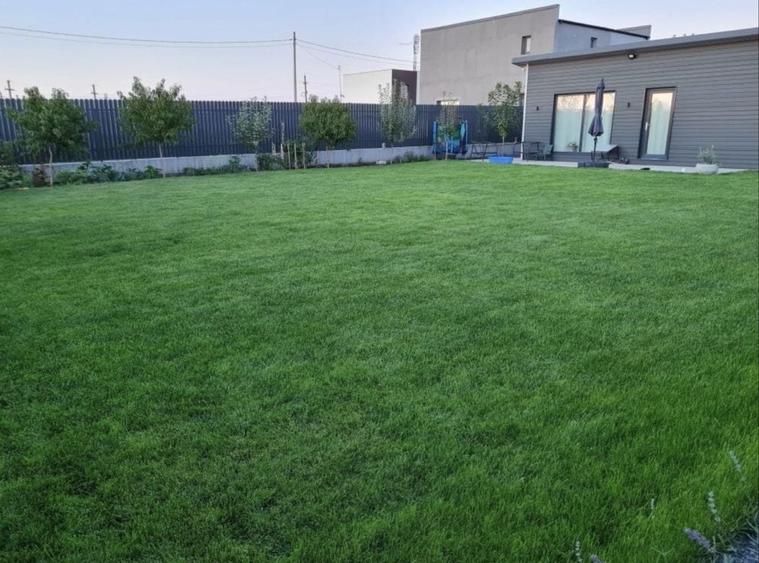 Teren 500mp Arcasilor - 1