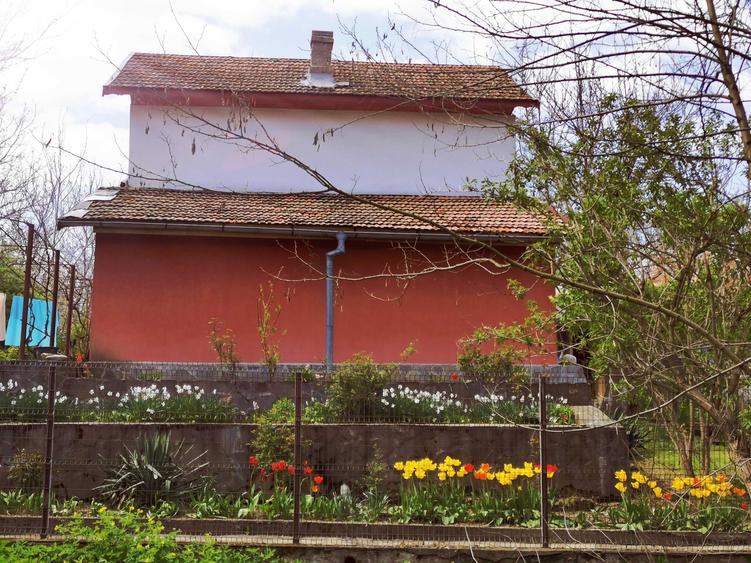 Vand casa Magura, jud. Buzau - 6