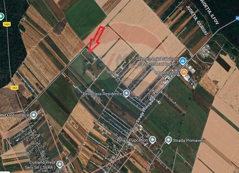 Vanzare Teren lotizat 4,650mp Sabareni / Strada Cereanca - 1